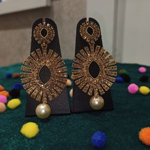 Gorgeous Stone Fancy Earrings