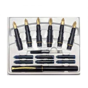 Calligraphy Gold clip Pen Set Ink Pen for Cursive Writing (6 nib)