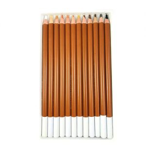 12 Pcs Professional Skin Tints Pastel Colored Pencils for  Drawing