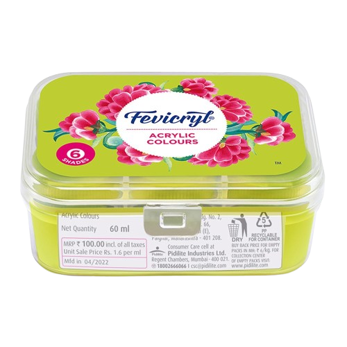 Fevicryl Acrylic Colours Pack of 6 – Multi-Surface Painting & Craft Colours