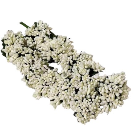 White Artificial Pollen Flowers – Bunch for Flower Making & Craft Decoration - Pack of 12pcs